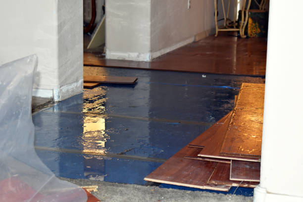 Professional Water Damage Restoration technician working in Harrisburg, NC